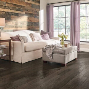 Sahara Collection