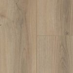 Mulga Oak