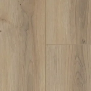 Mulga Oak